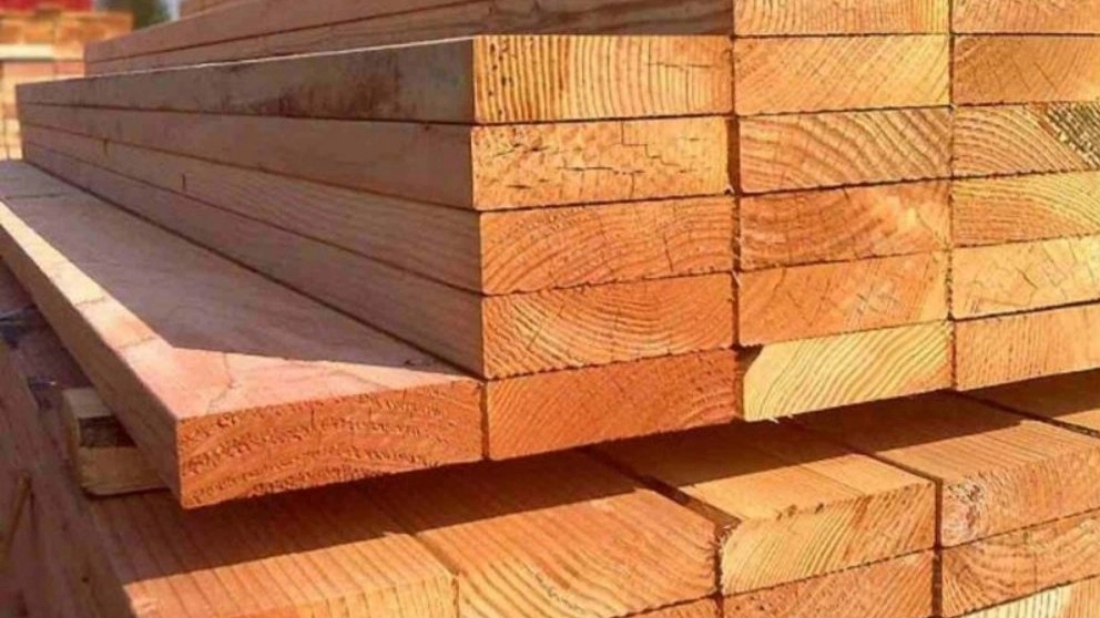Guide to the complete knowledge of Russian wood